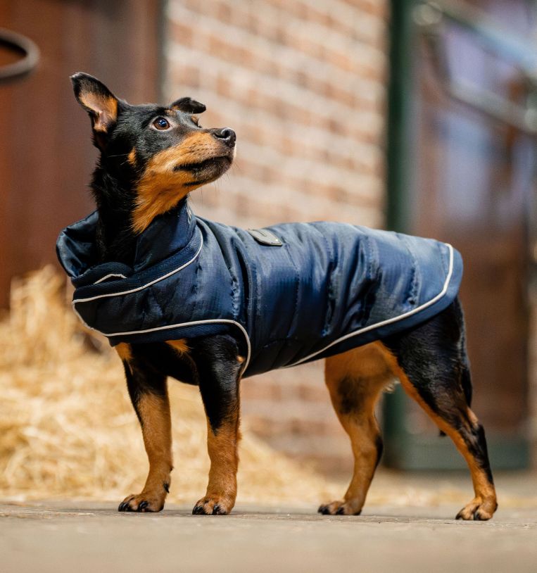 Horseware® Signature Dog Rug (200g Medium)