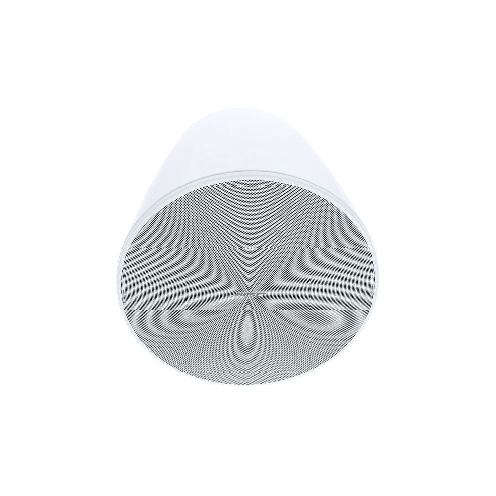 Bose Professional DesignMax DM10P