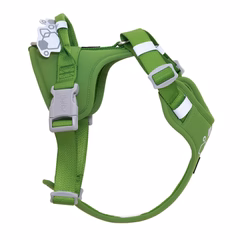 Weekend Warrior Harness II ECO