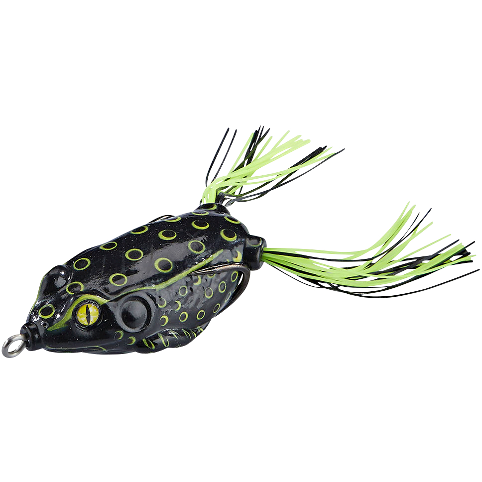 Shirasu Killer Frog (Black Albino)