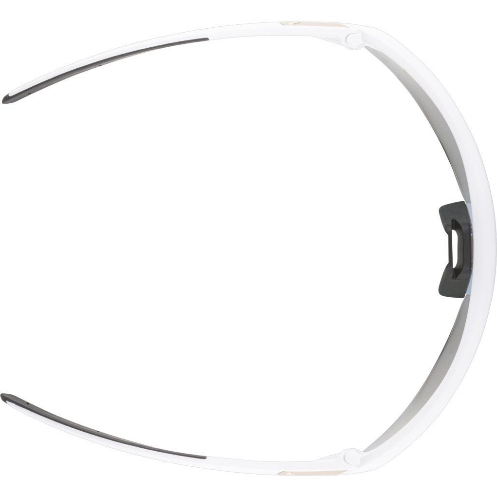 Alpina Turbo Pro QV Glasses - white matt/rainbow mirror