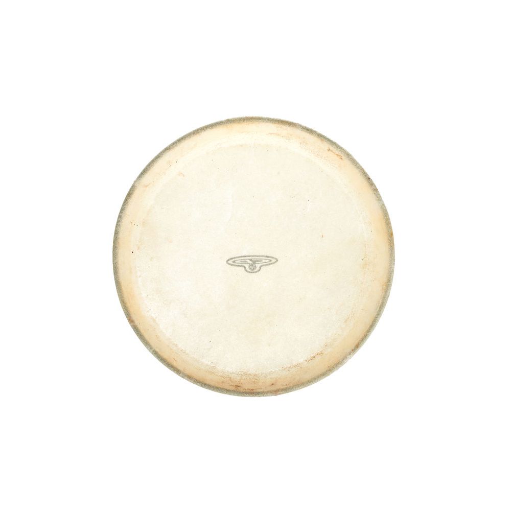 LP CP221B Bongo Head 7