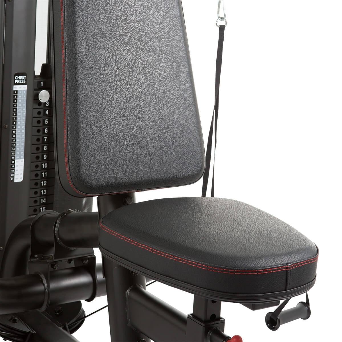 Dual Station Chest/Shoulder