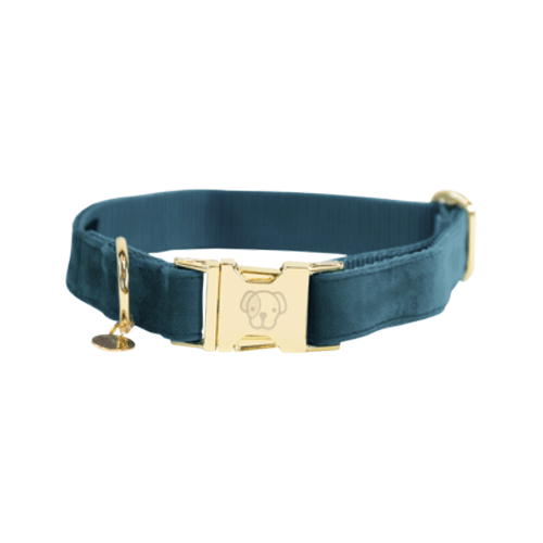 Kentucky Dogwear - Velvet - M - Emerald