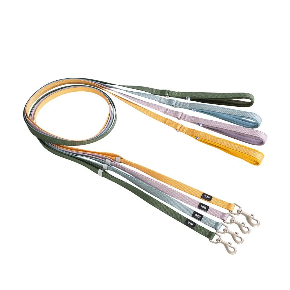 Seeker Standard Leash