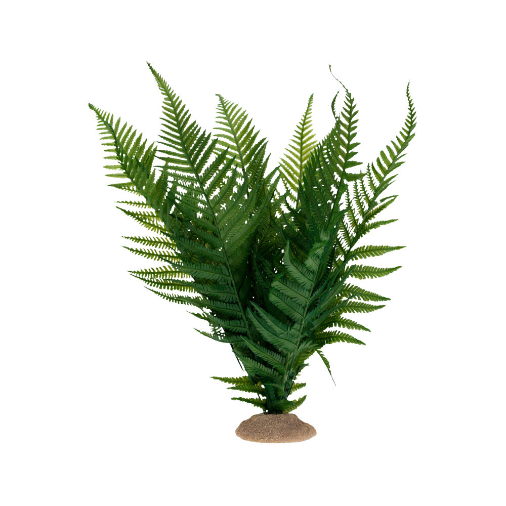 Terra Della Fern - M