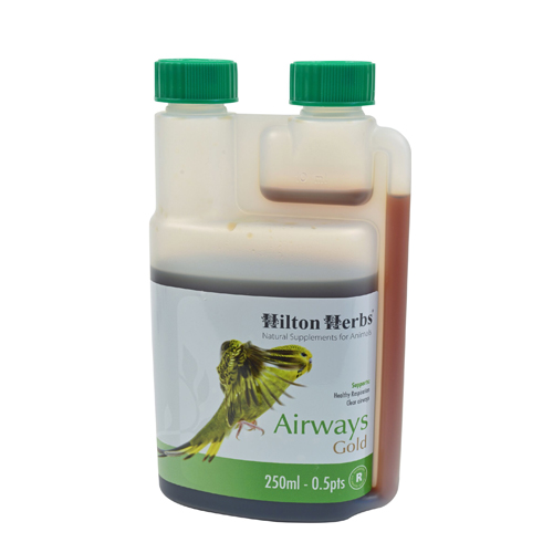 Hilton Herbs Airways Gold for Birds - 250ml