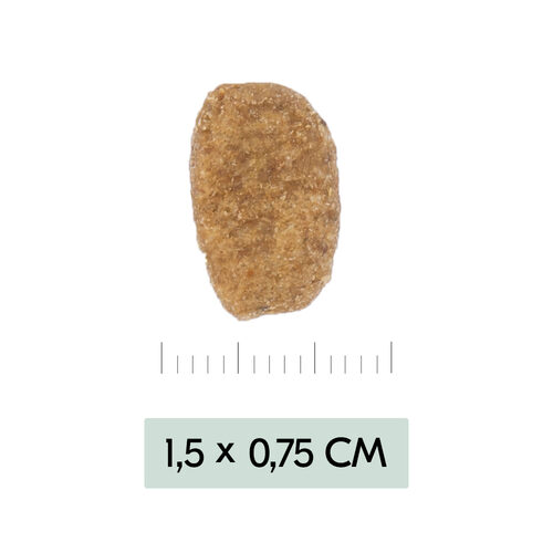 Vetality Weight Management - Dog Food - 3kg