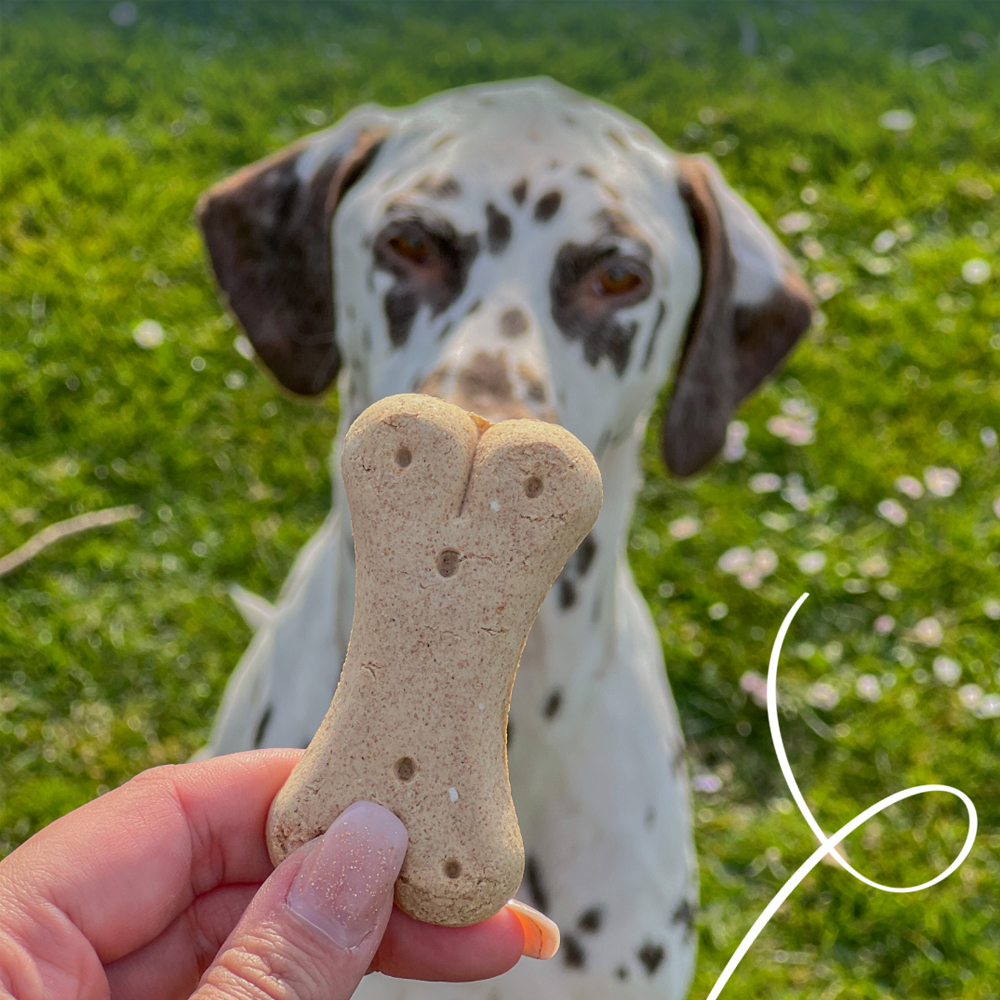 Yarrah Vega Dog Biscuits Bio - 5x 500g