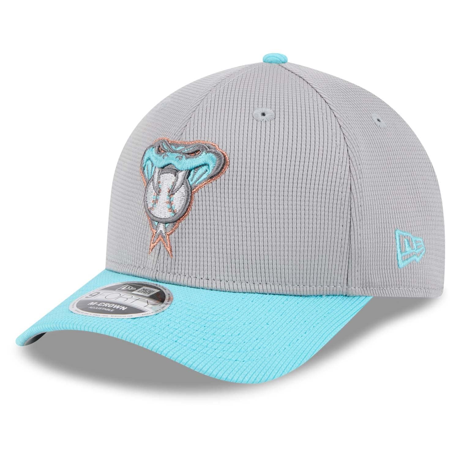 Arizona Diamondbacks Colorway 2025 MLB Batting Practice 9FORTY M-Crown Snapback Cap Gray