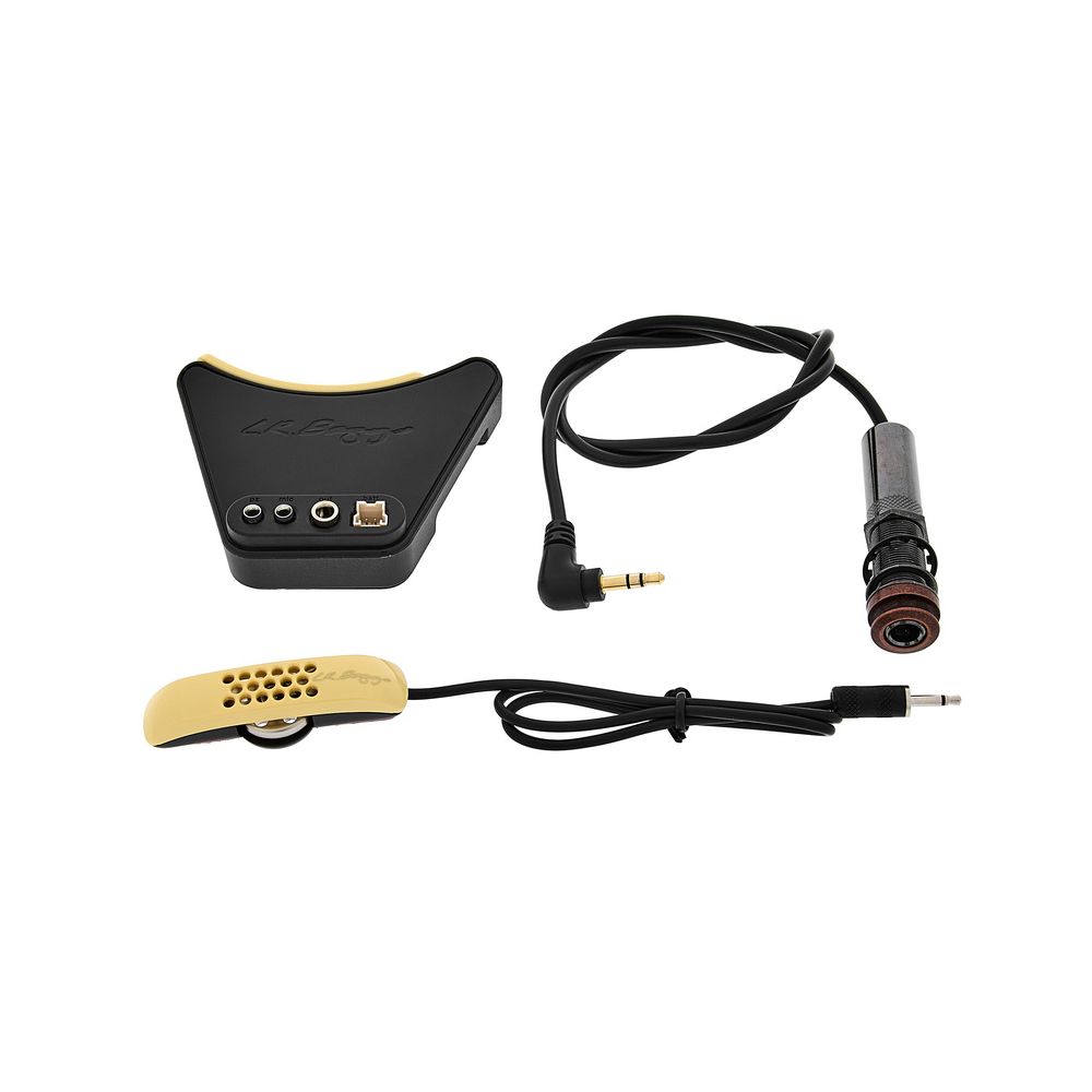 L.R.Baggs Anthem SS – Thomann Ireland