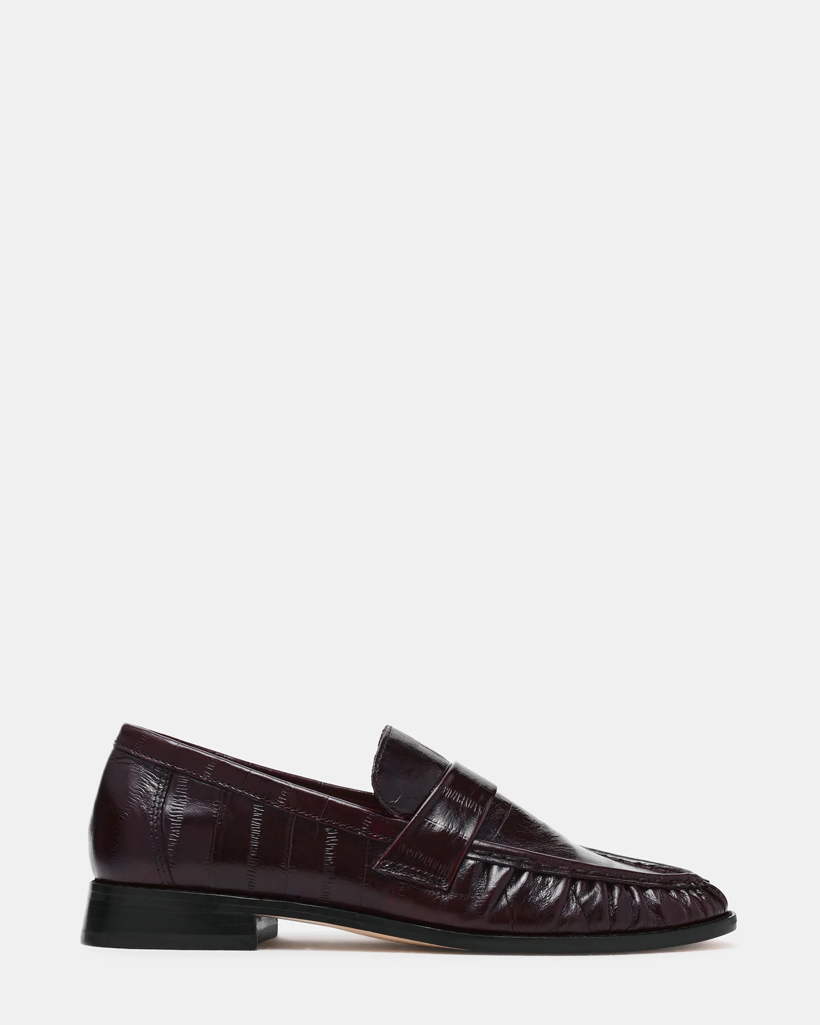 Ronie Burgundy Eel