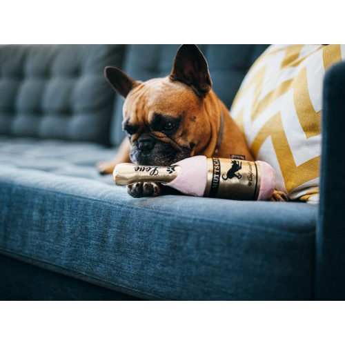 P.L.A.Y. Pet Puppy Love - Muttscato Bottle