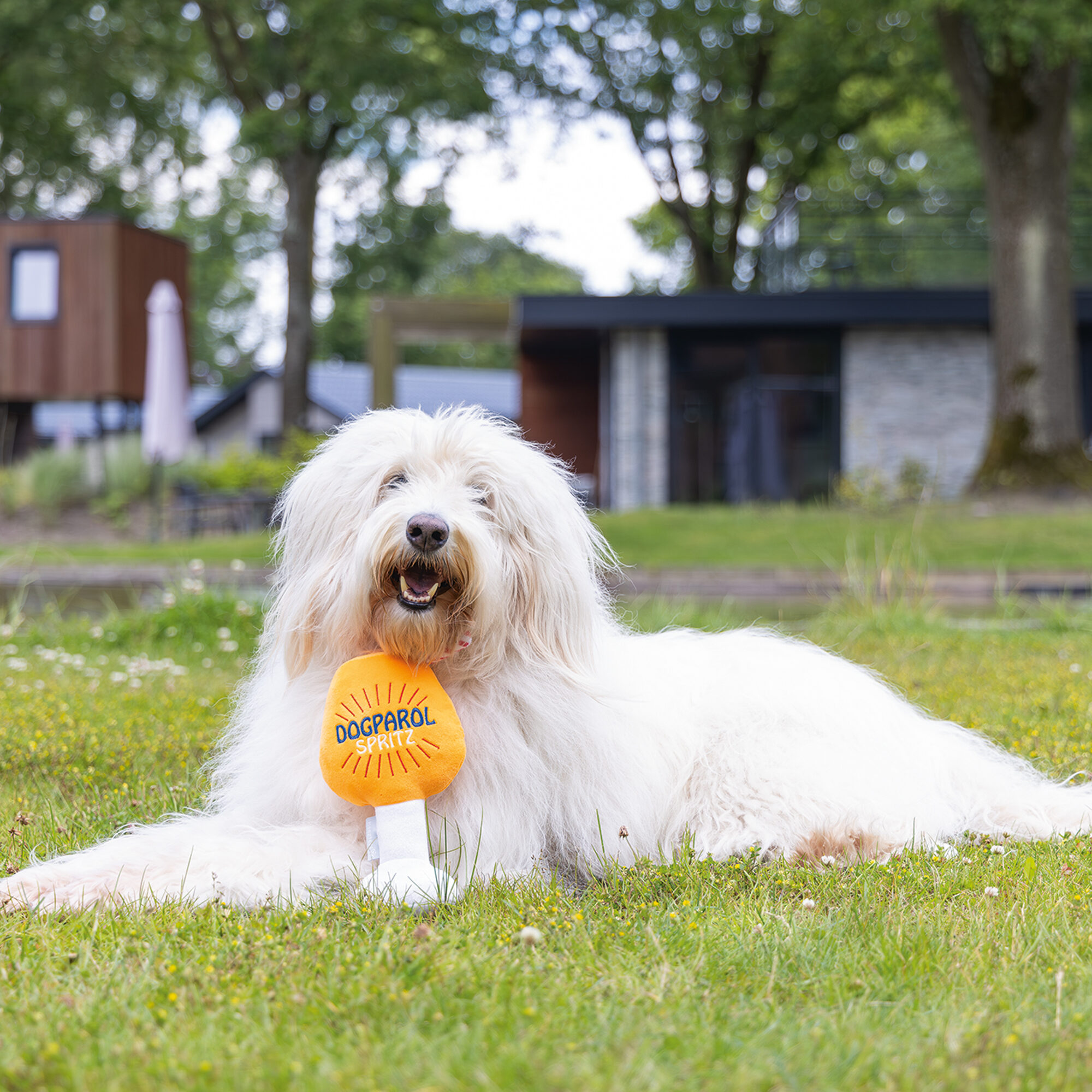 Beeztees Dog Apawrol