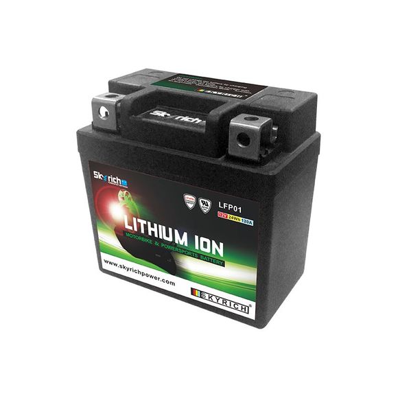 Skyrich lithium battery lfp01Ref: LFP01