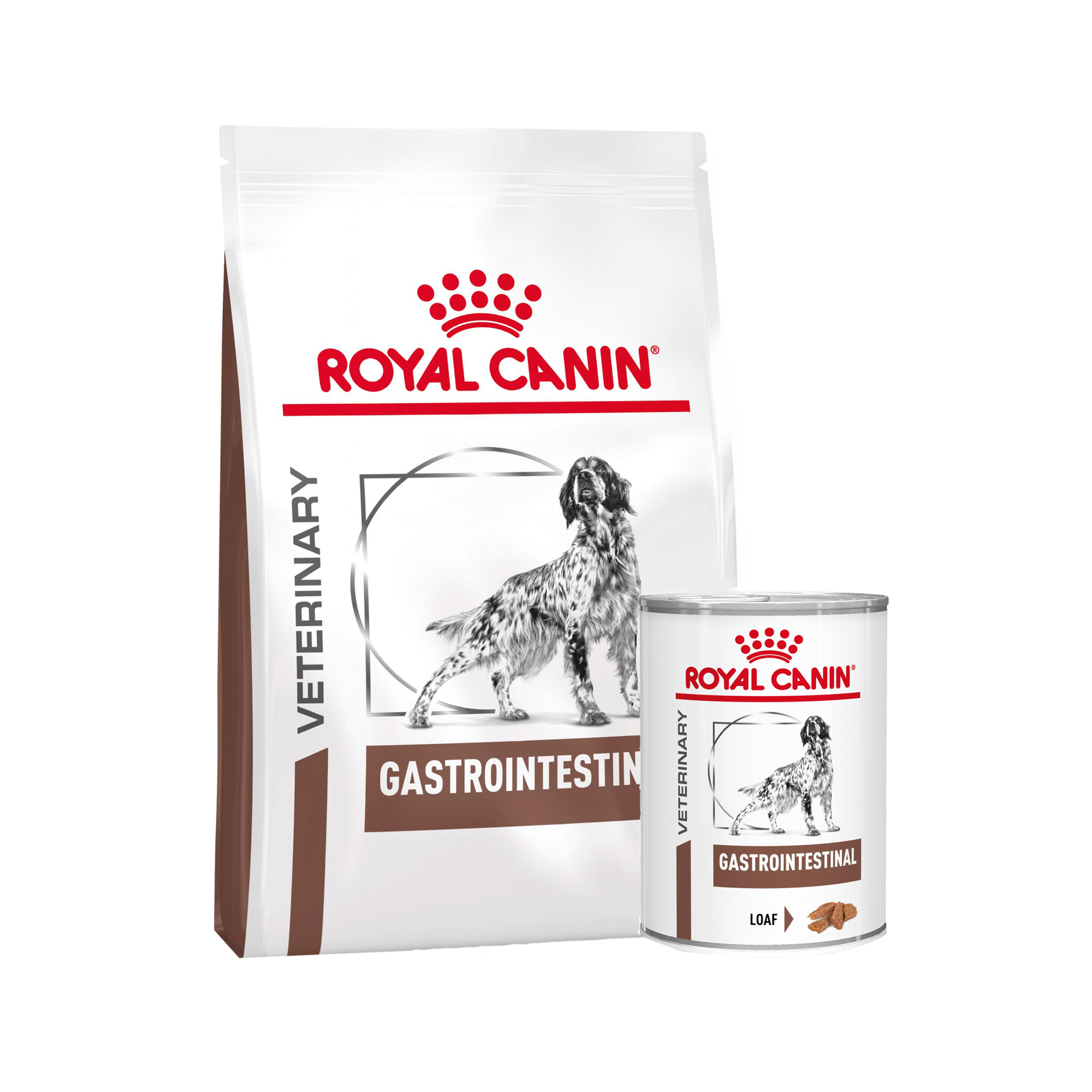 Royal Canin Gastro Intestinal Dog - 2kg