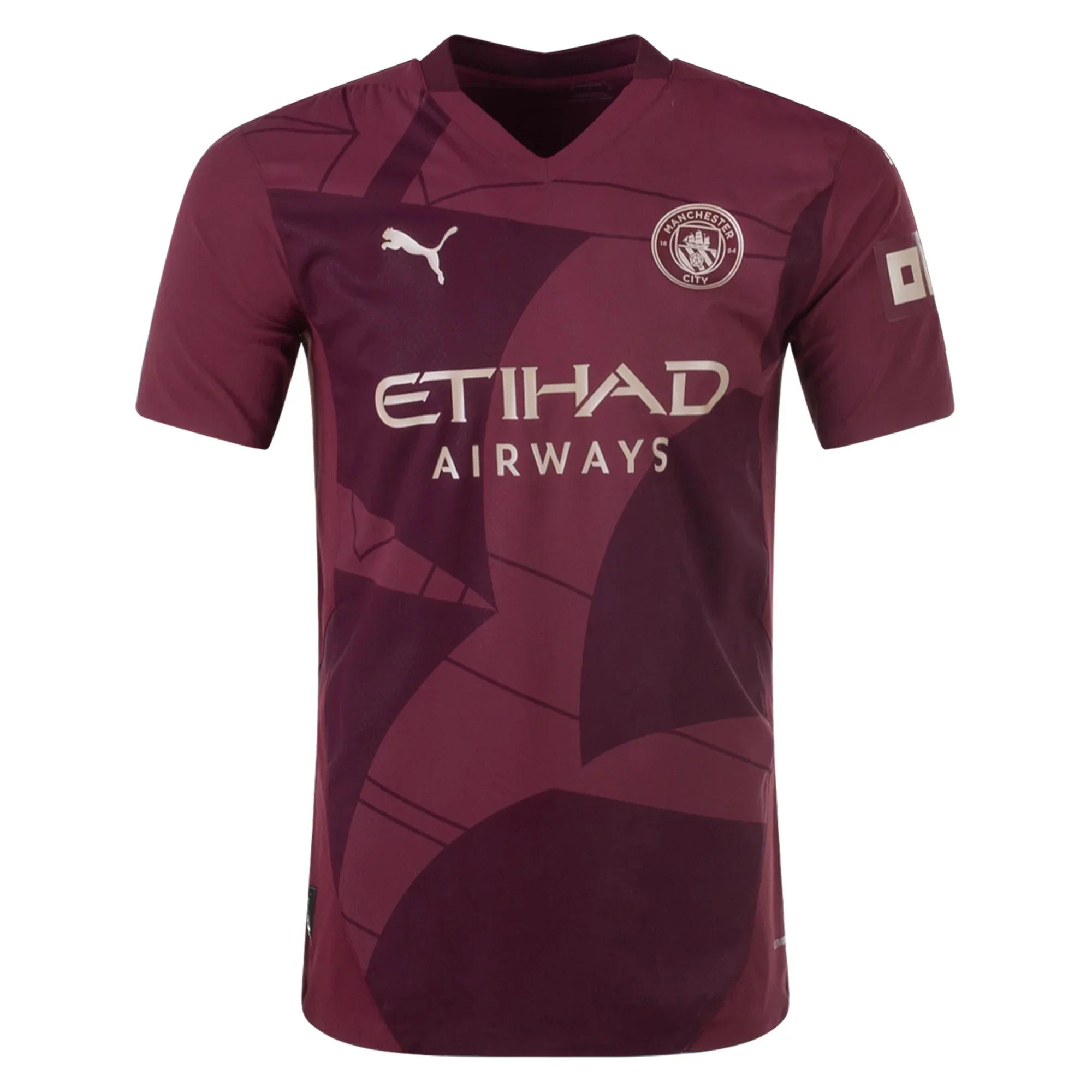 Manchester City Authentic Third Jersey 24/25 (Dark Jasper)