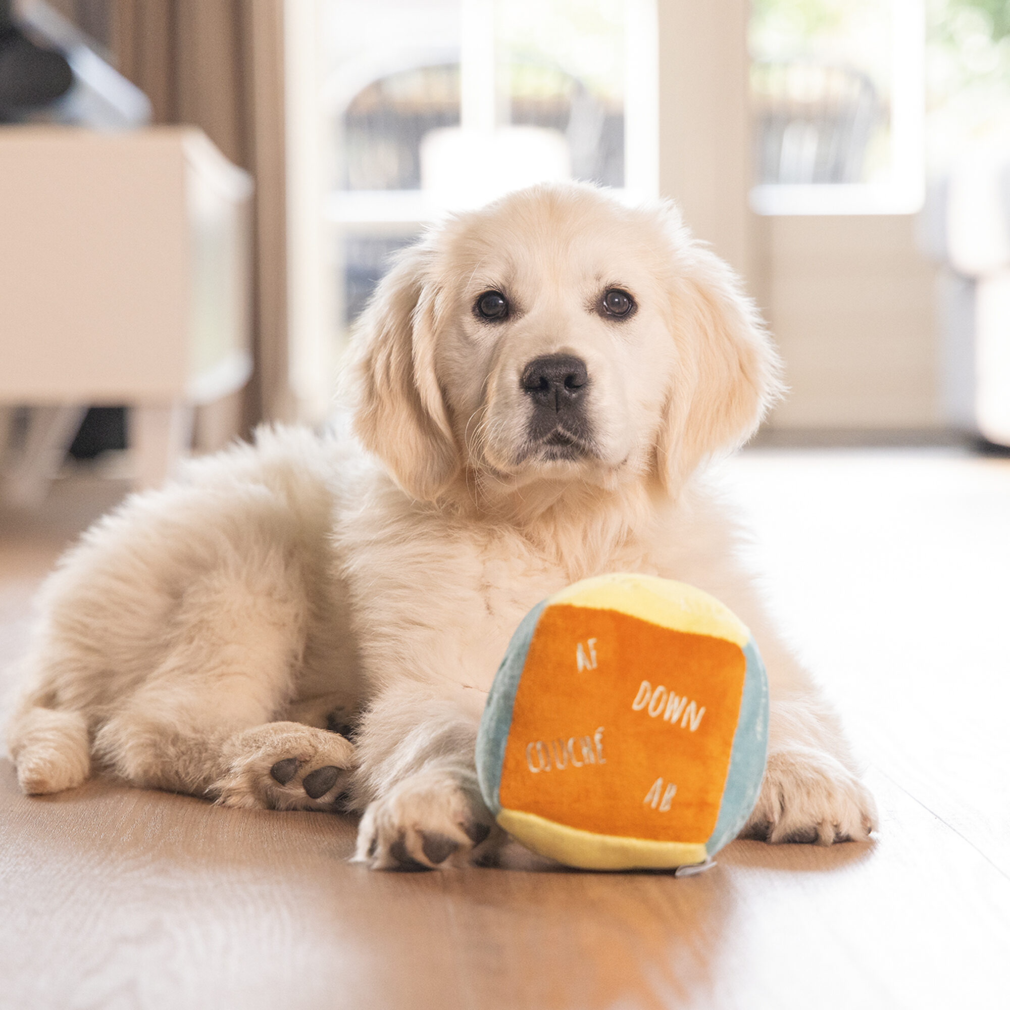 Beeztees Puppy Cuddle Cube