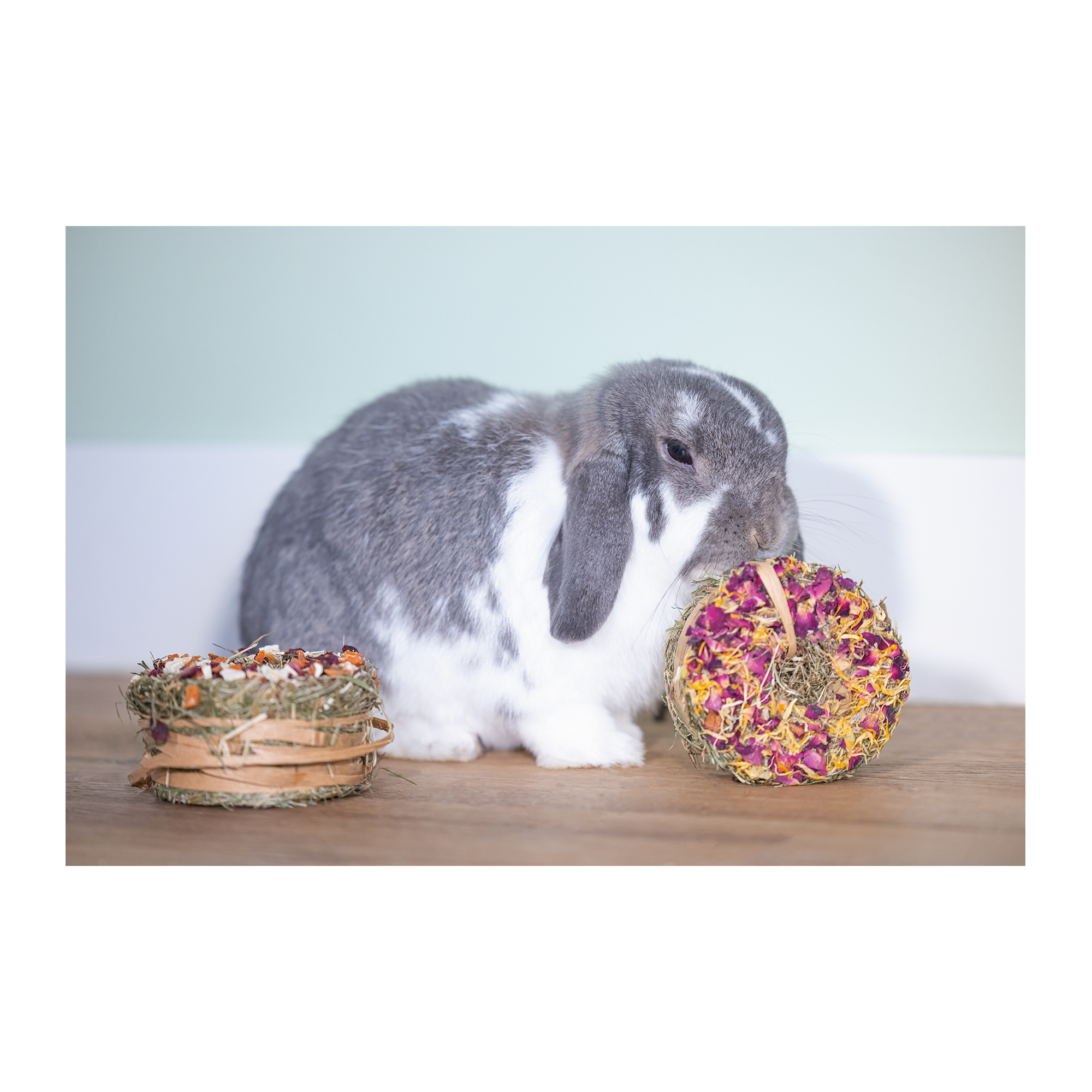 Beeztees Hay Donut - Beetroot, Carrot, Parsnip