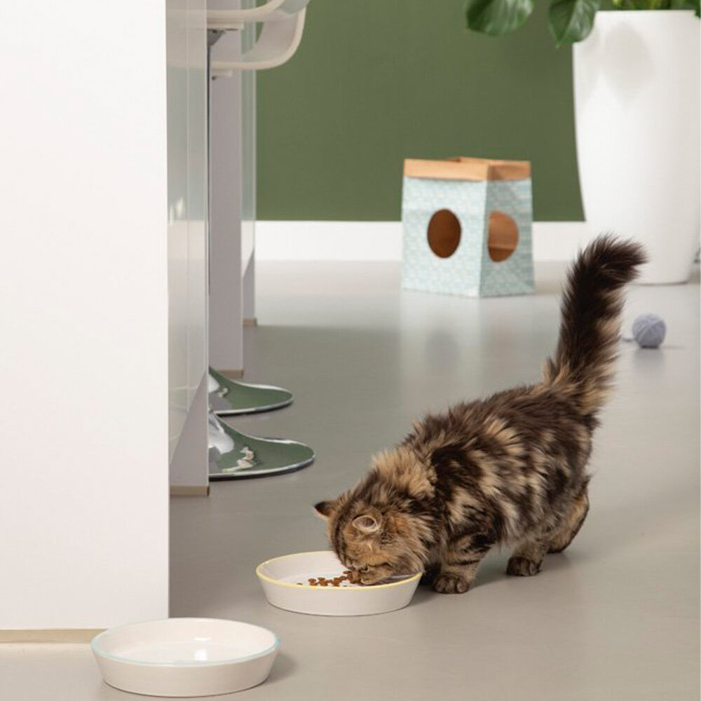 Beeztees Kitten Zina - 17.5 x 17.5 x 3.5 cm