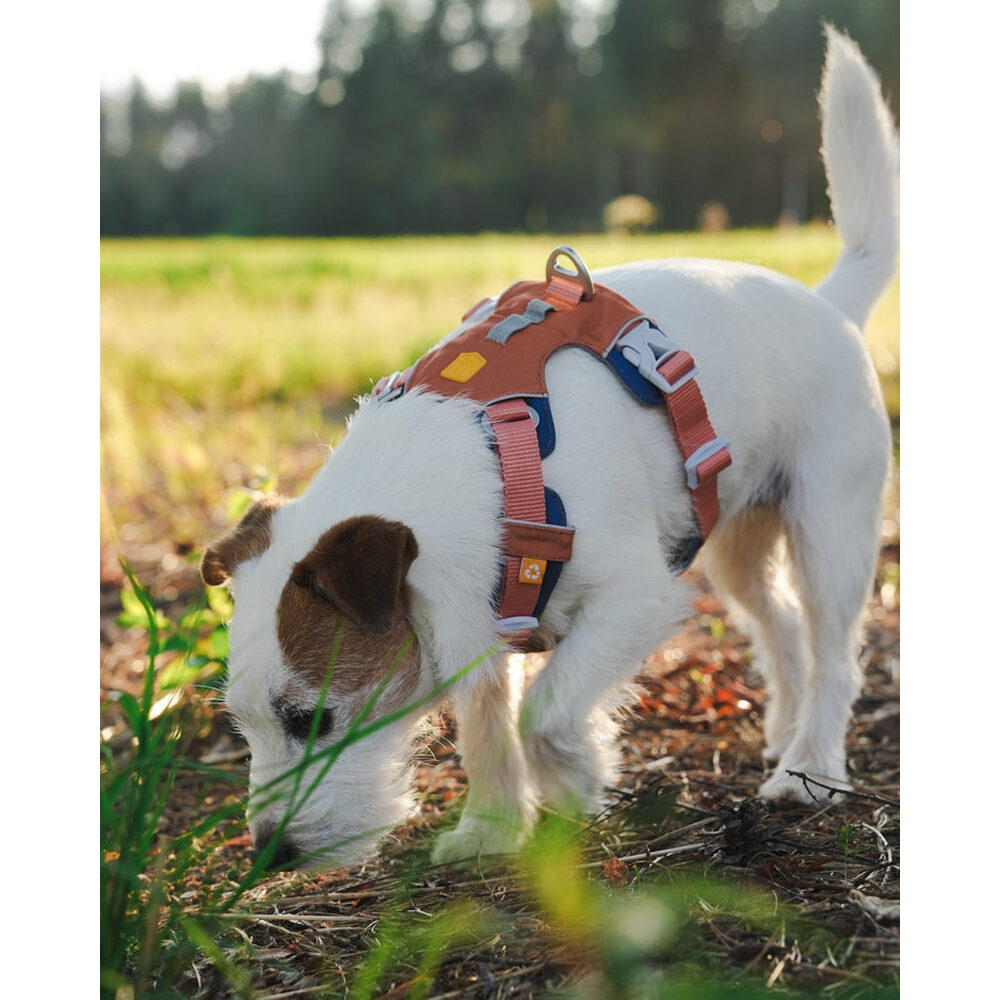 Alpha 360 Harness Glacier Green Mix - XS