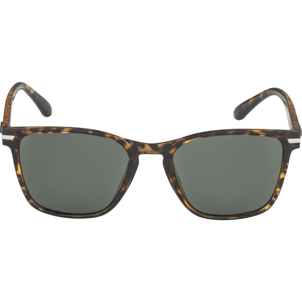 Alpina Yefe Glasses - havana gloss/black