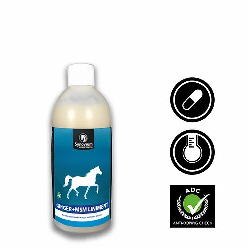 Synovium Ginger MSM Liniment - 1L
