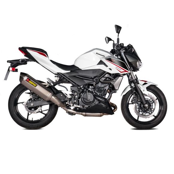 Silencieux Akrapovic Titane embout carbone - GrisRef : SA0020 / 18114372