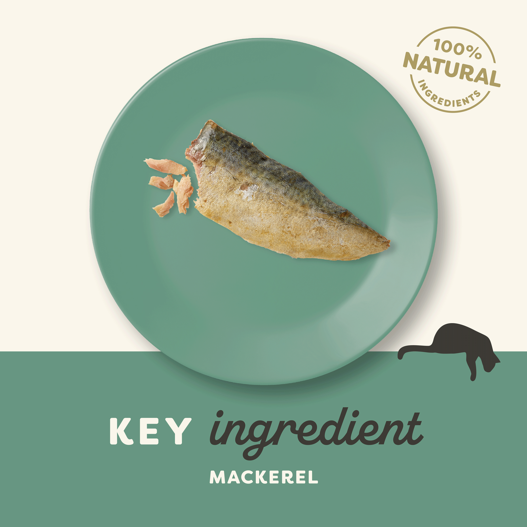 Applaws Cat - Mackerel Loin - 12 x 30g