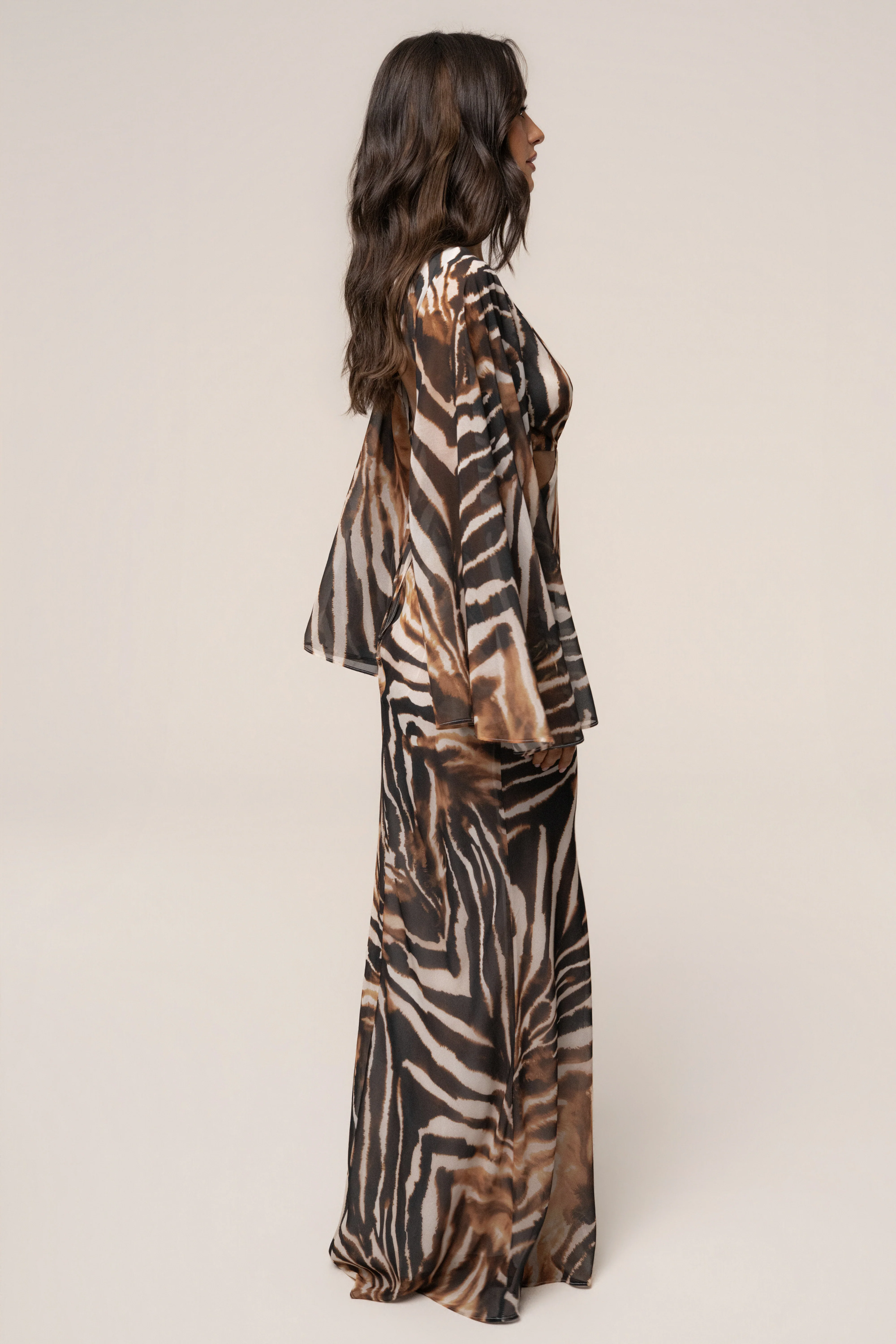 Brown Zebra Instincts Print Maxi Dress