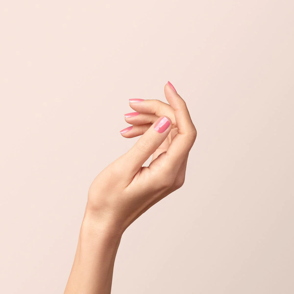 Pink Paradise