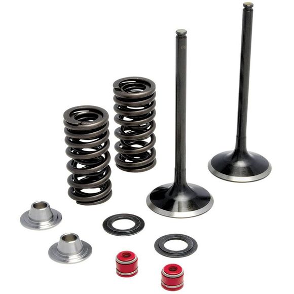 Moose racing intake valve complete kitRef: ME0116 / 09262457