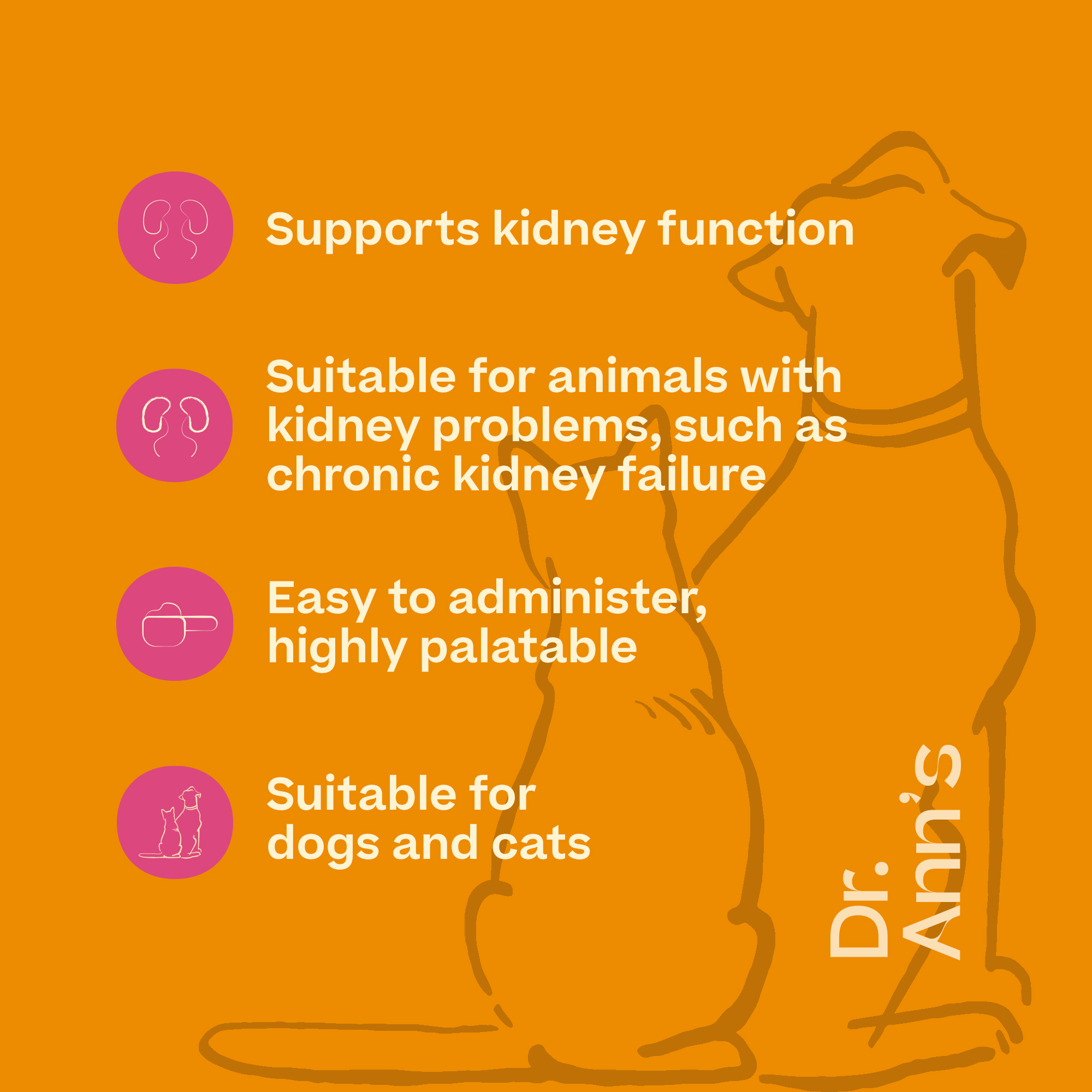 Dr. Ann's Kidney Support - 60g