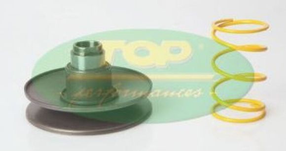 Top Performances Engine Torque DriveRef: TPF00135A / 1018531