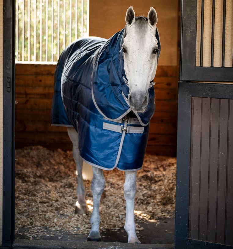 Amigo® Ripstop Insulator Plus Pony Stable 200g