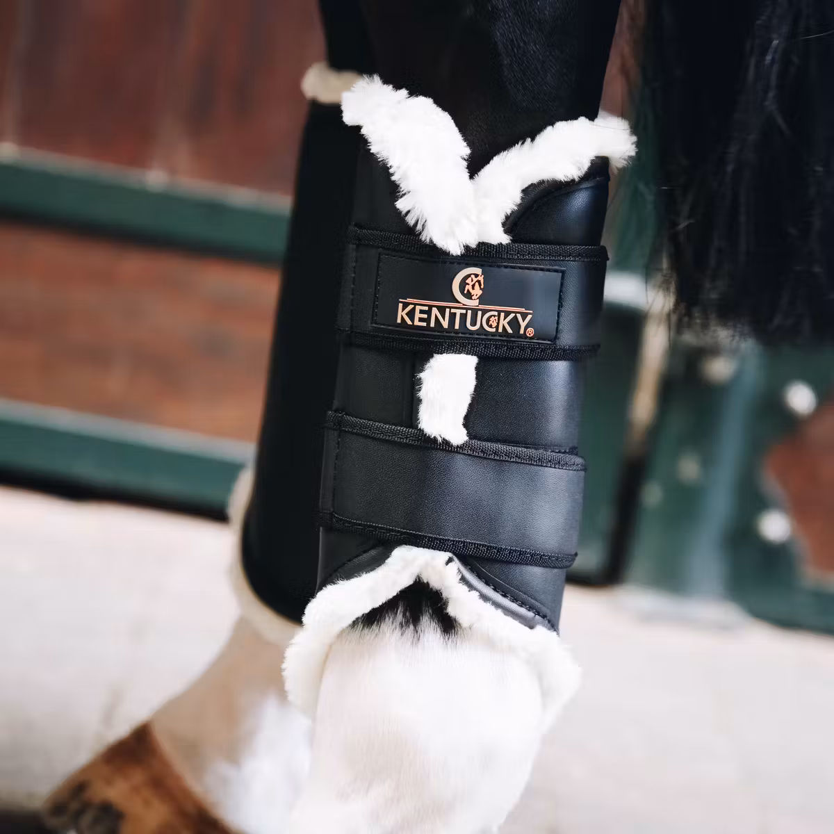 Brushing Boots Leather Hind