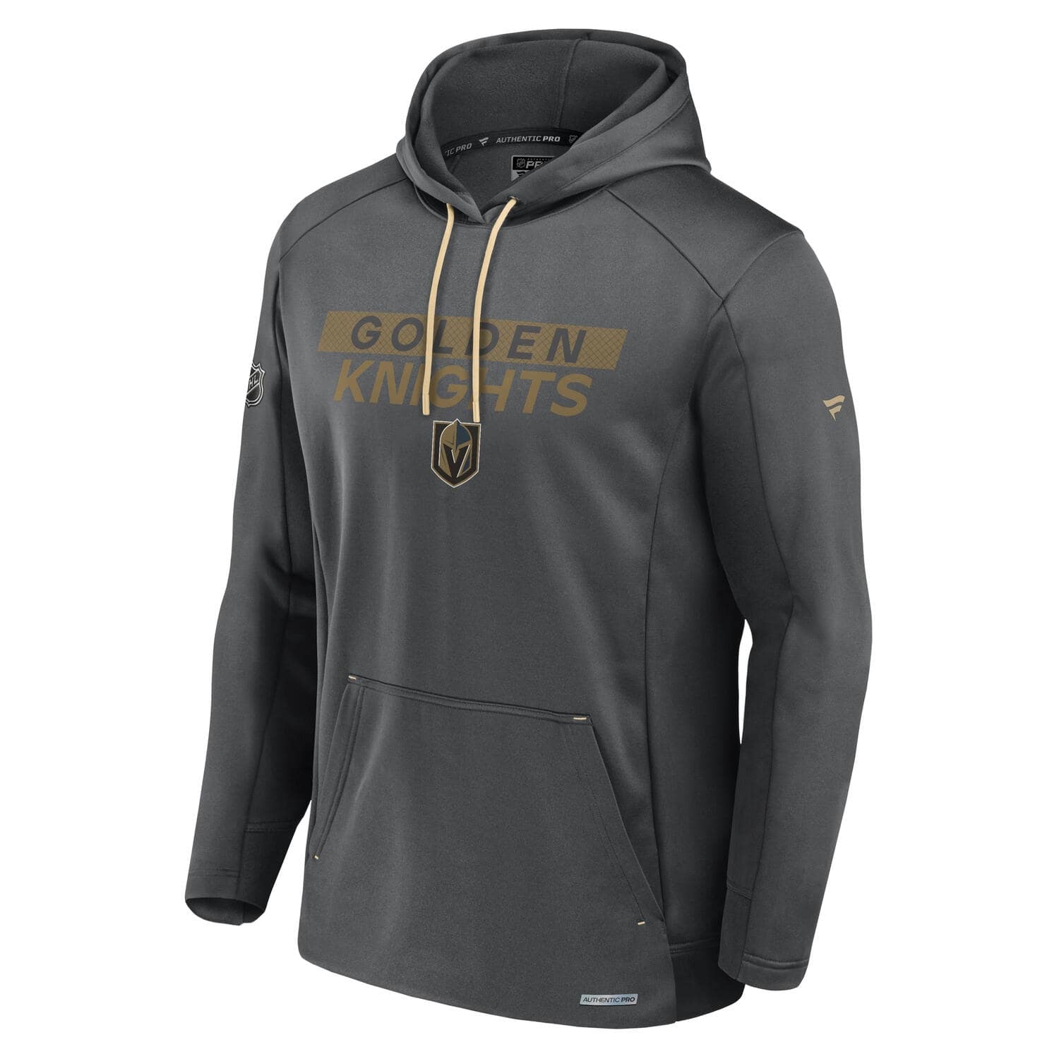 Vegas Golden Knights 2024/25 Authentic Pro Rink Tech NHL Hoodie Gray