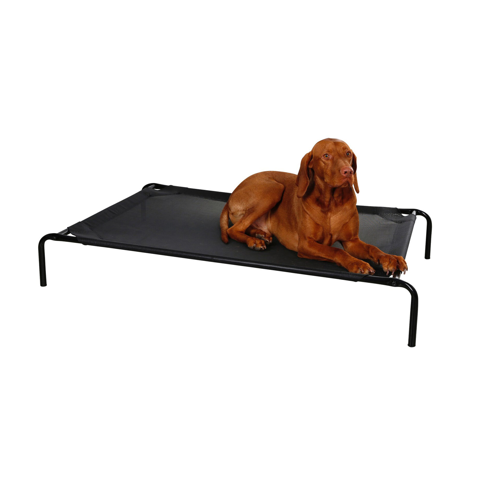 Kerbl Elevated Dog Bed