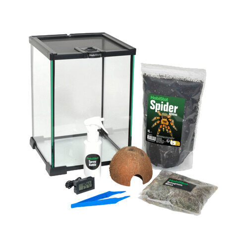 HabiStat Invertebrate Starter Kit