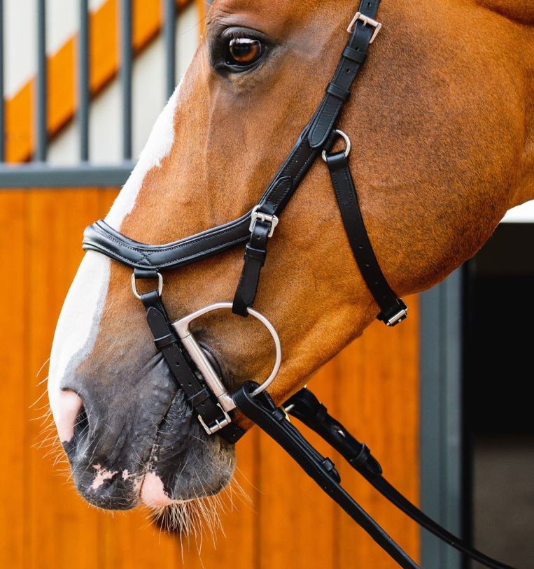 Horseware Micklem® Deluxe Competition Bridle with Reins
