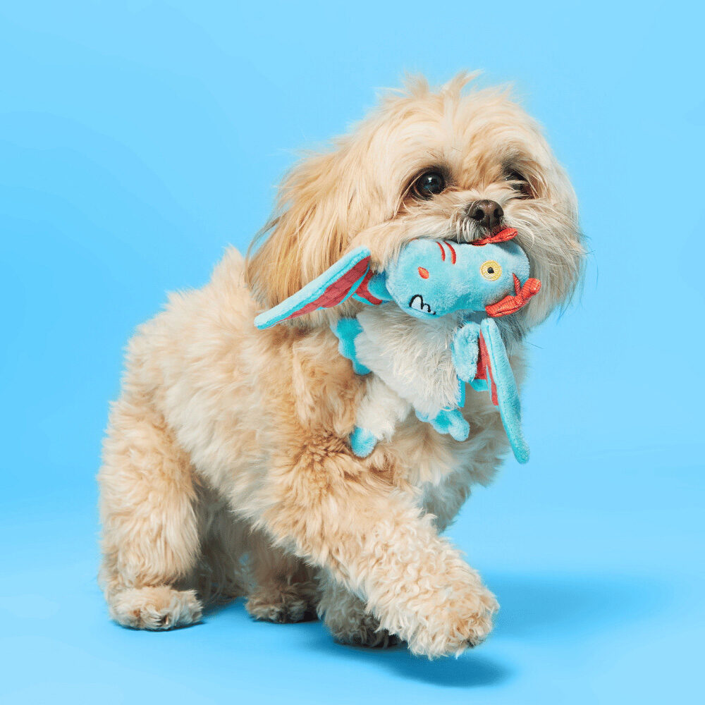 Bark Grimbold Dragon