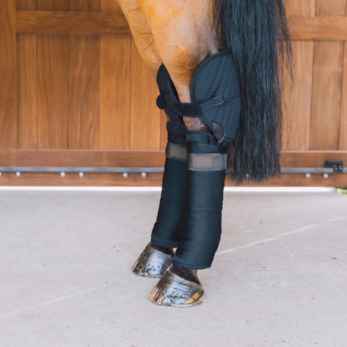 Transport Stable Bandage Pad with hock protection