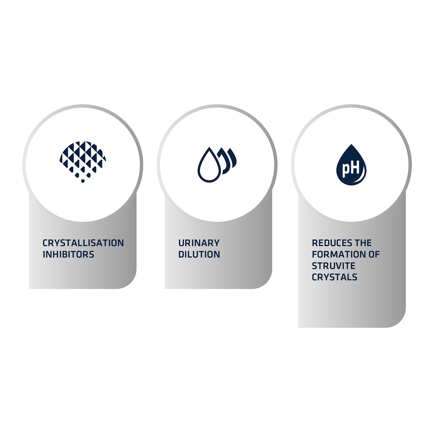 Affinity Advance Veterinary Diets Urinary Cat - 1.5 kg