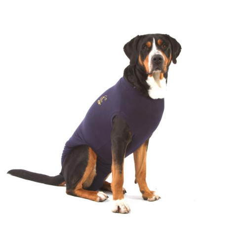 Medical Pet Shirt Dog - Blue XXL