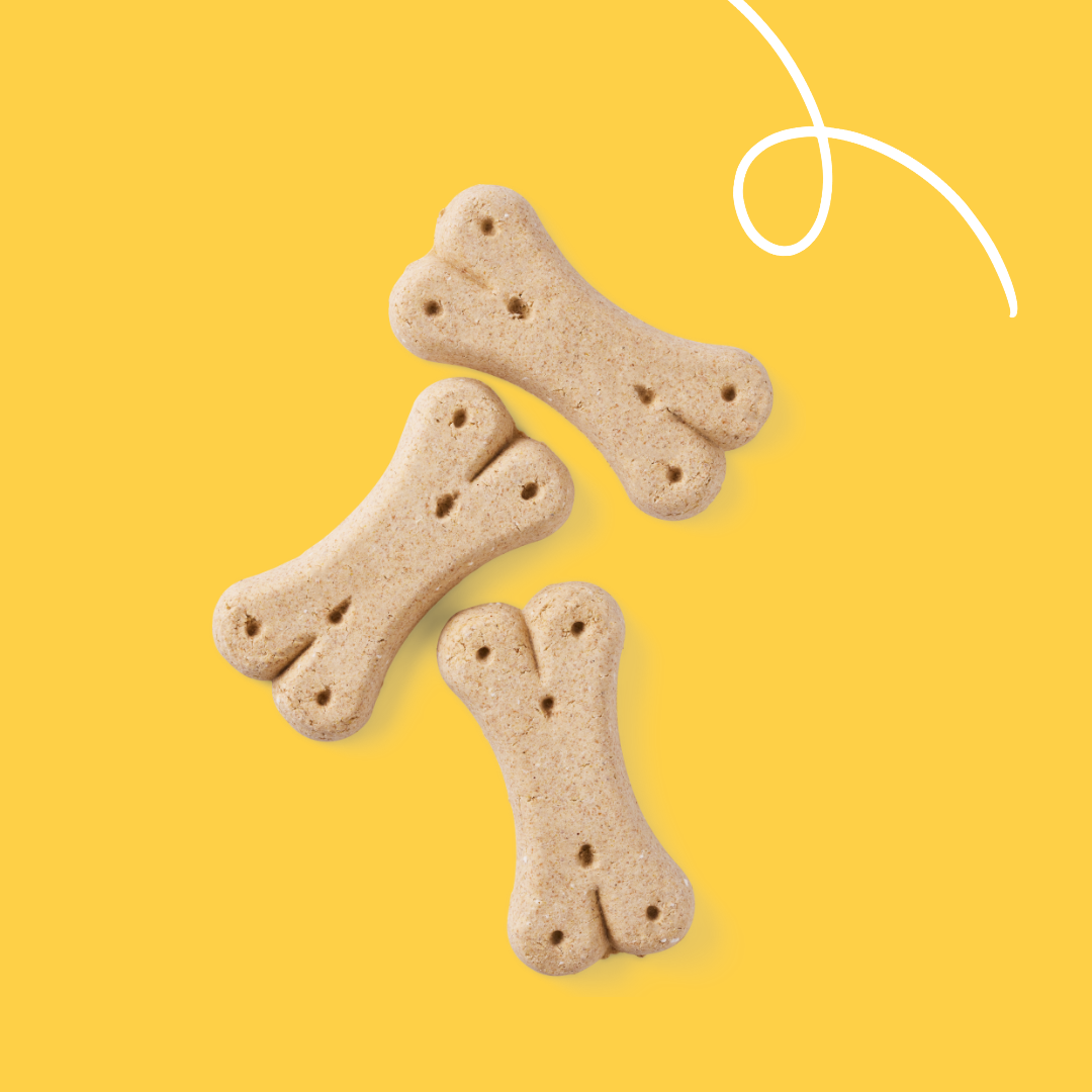 Yarrah Vega Dog Biscuits Bio - 5x 500g