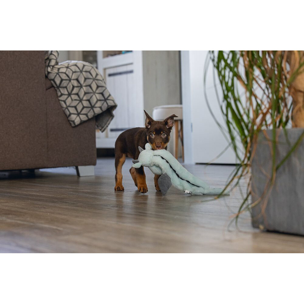 Beeztees Puppy Flatino Dragon Yi - 45 × 24,5 × 6 cm