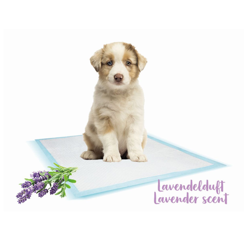 Nobby Training Pads Lavender - L