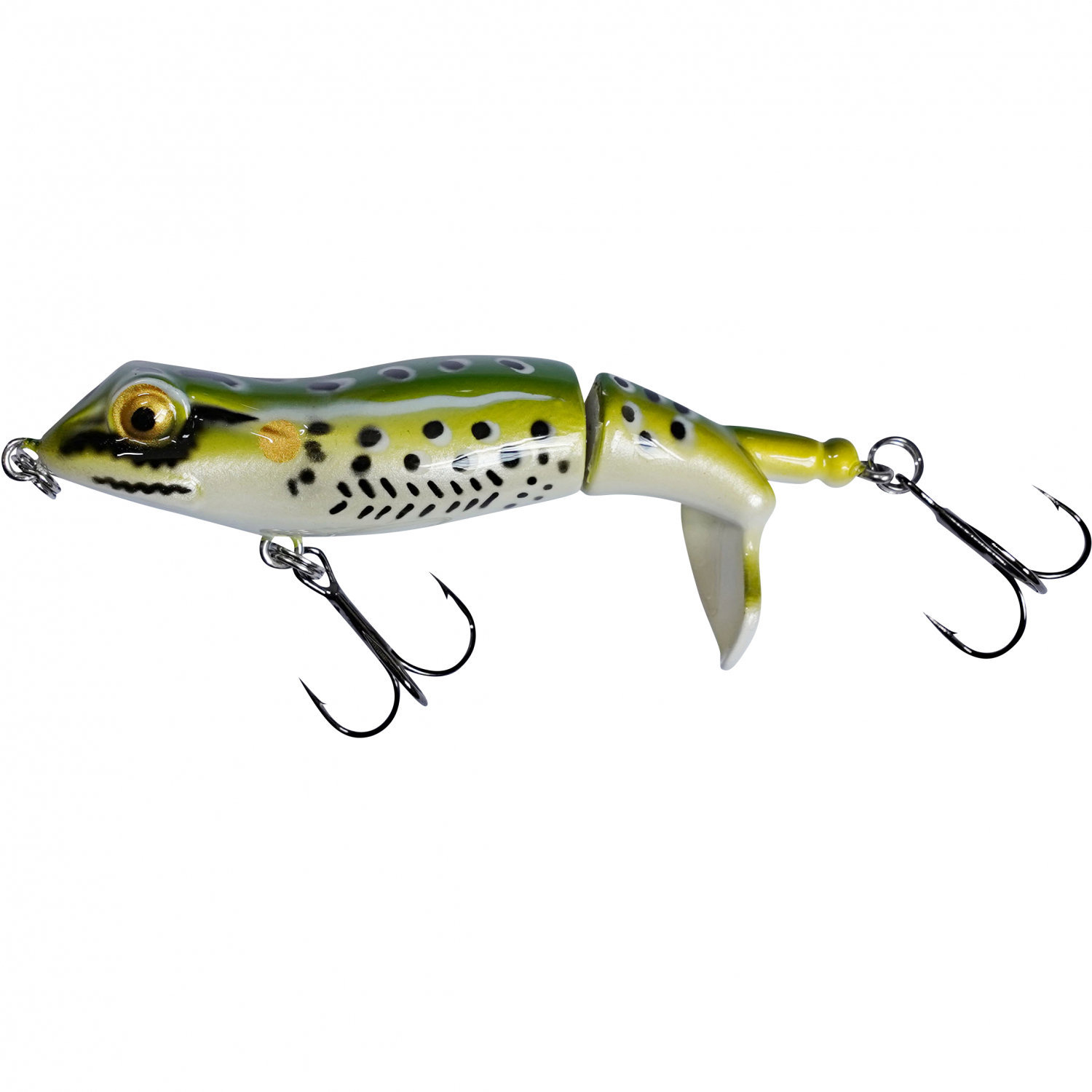 Shirasu Rock the Frog (Frog)