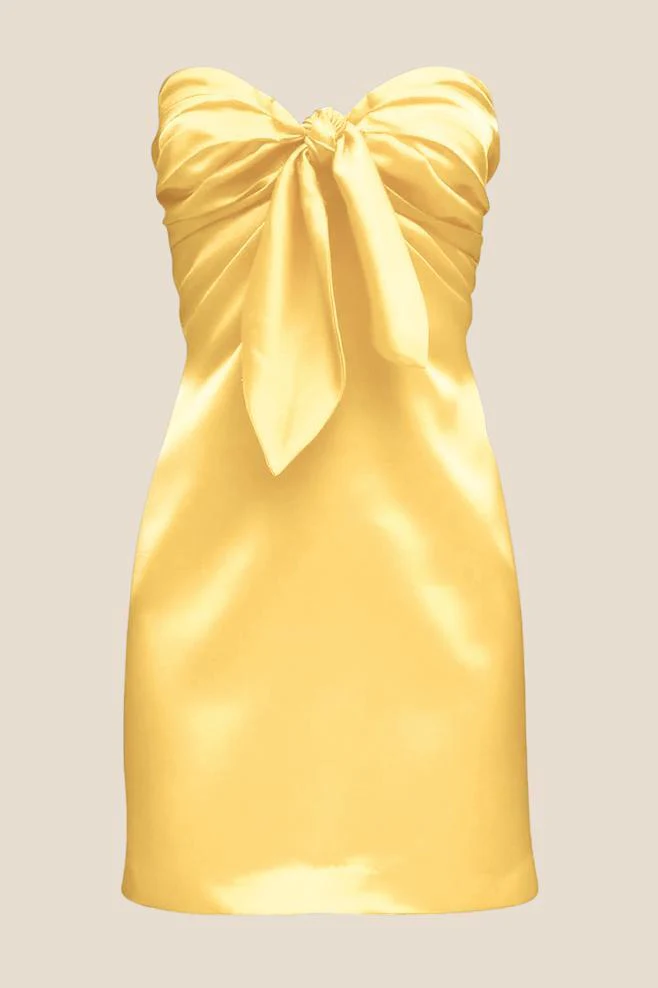 Strapless Navy Blue Tie Front Short Dress