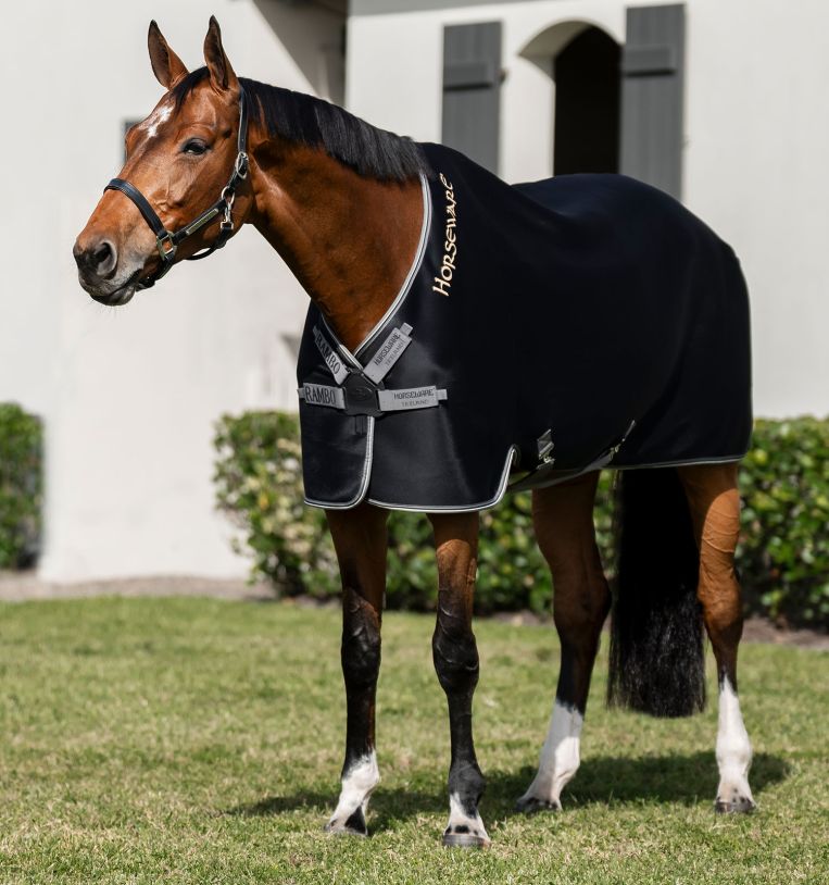 Horse Rugs/Shop By Category/Coolers & Travel Rugs